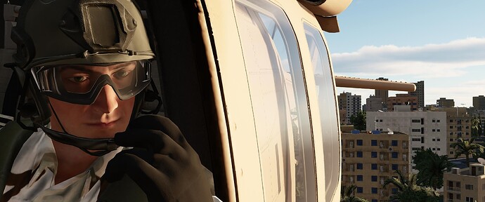 Digital Combat Simulator  Black Shark Screenshot 2022.02.18 - 01.57.21.73