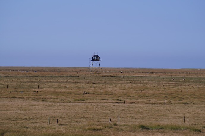 DSC09561