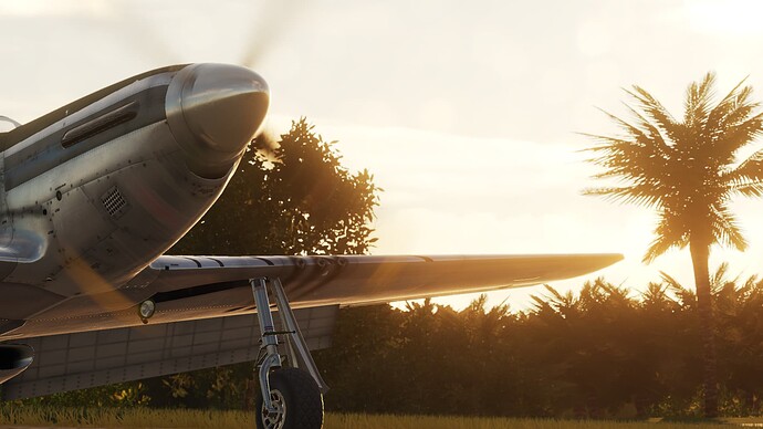 Digital Combat Simulator  Black Shark Screenshot 2021.07.31 - 18.51.54.34