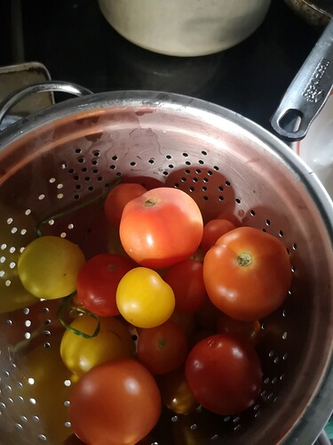 15998399152298132844196673119164