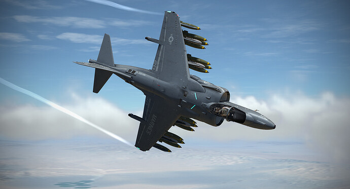 HARRIER-056