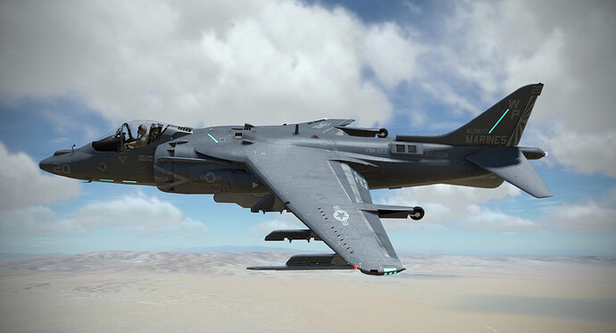 HARRIER-053