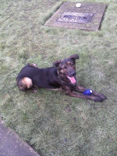 Buster_00009