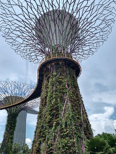 IMG_20181129_124306311_HDR