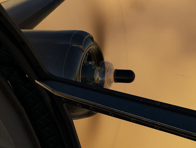 FS2020_20240713_230924_L