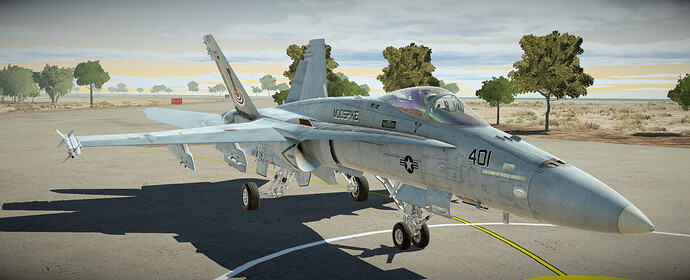 DCS-21