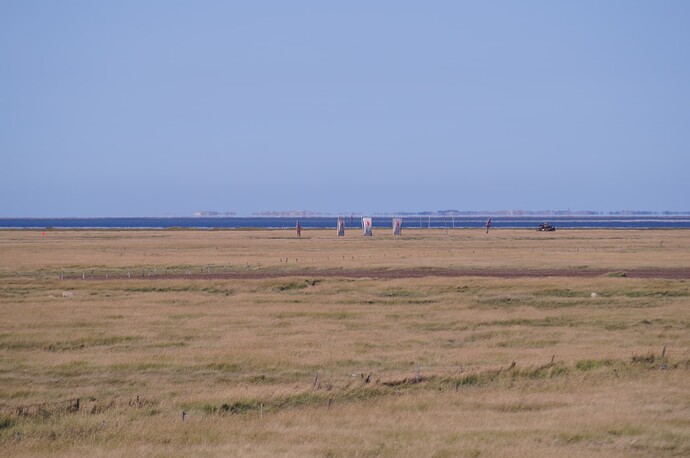 DSC09564