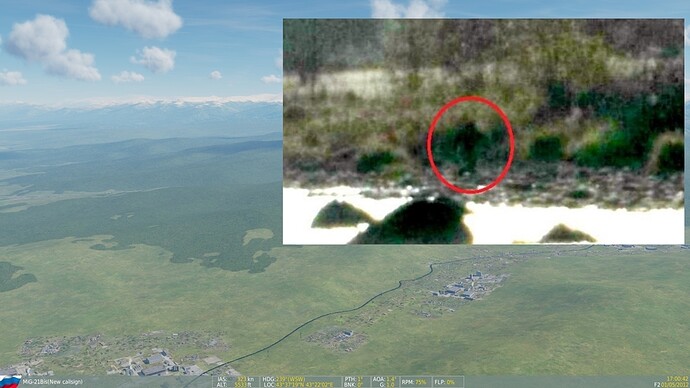 bigfoot