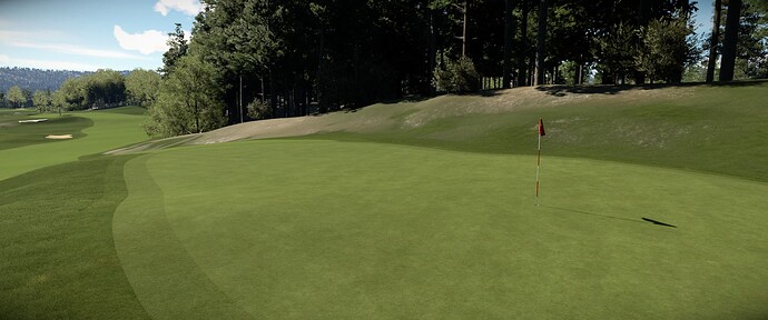 GOLF-010