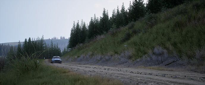 Assetto Corsa Rally Screenshot 2026.01.29 - 20.10.07.60