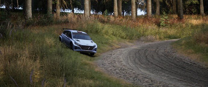 Assetto Corsa Rally Screenshot 2026.01.29 - 20.06.57.60