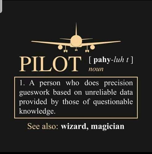 pilot