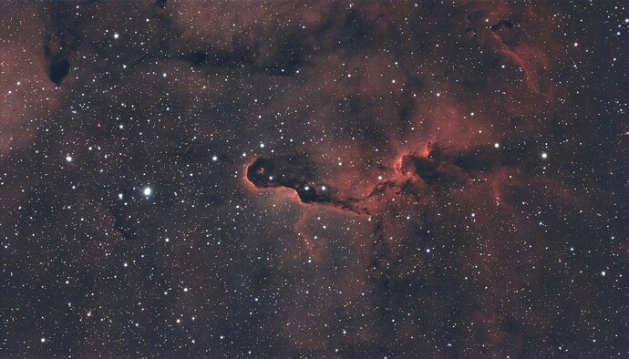 Elephant 17 hours-compressed