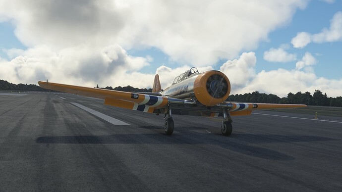 Microsoft Flight Simulator Screenshot 2021.12.13 - 01.02.18.51