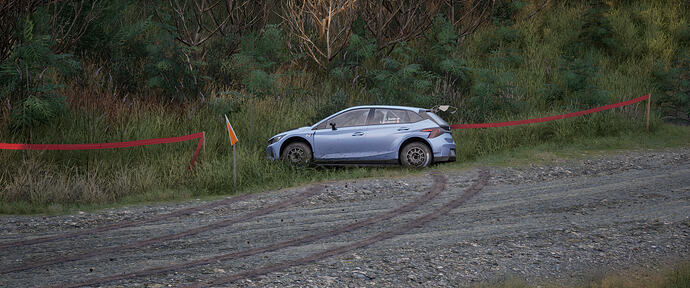 Assetto Corsa Rally Screenshot 2026.02.02 - 17.29.14.80