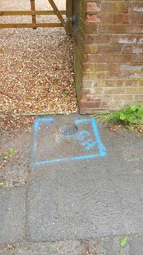 IMG-20220526-WA0001