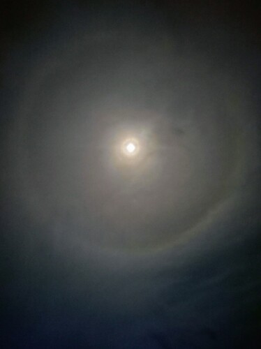 IMG_20231227_234158287~2