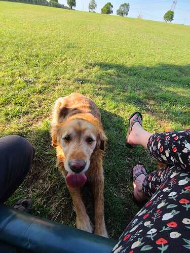 IMG-20230707-WA0007