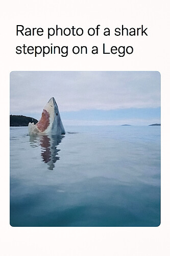 bafkreiedwag4zsha6u2gjjvr7uyajhppr4jsgjgbtaozsuibecym7lzgf4