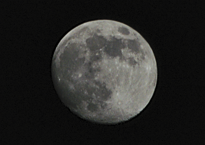 DSC_3003