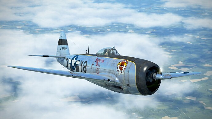 P47pic3