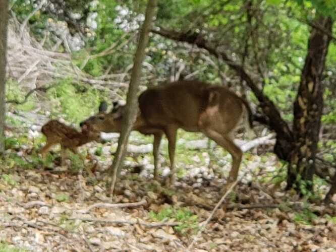 345047905_239085452148024_1679767674333786444_n