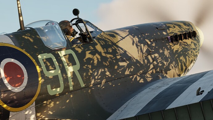 Digital Combat Simulator Black Shark Screenshot 2021.10.14 - 22.15.59.27