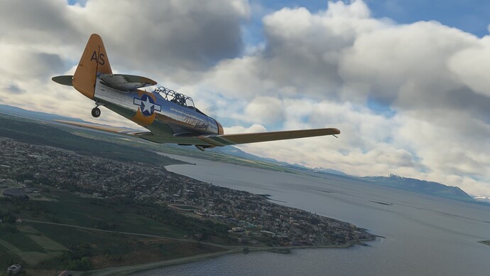 Microsoft Flight Simulator Screenshot 2021.12.13 - 00.54.08.85