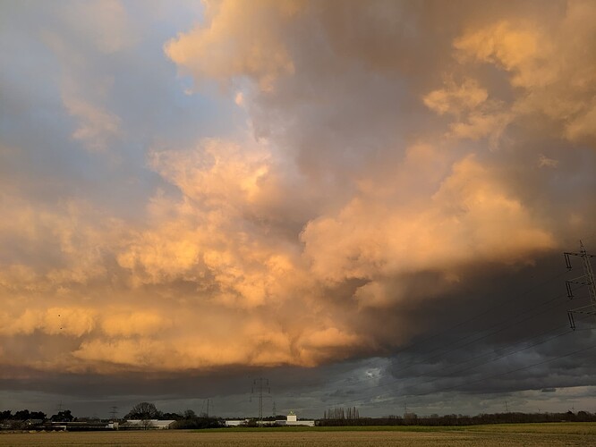 PXL_20220214_163749243.MP