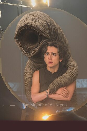 521852389_1087714203479015_7776383258894397221_n