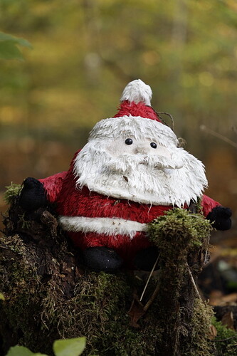 20181003121835__Z6A0221