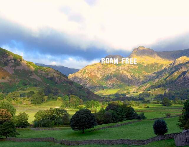 FB_IMG_1680358677746