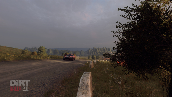 Dirt Rally 2 Screenshot 2020.04.04 - 04.10.29.62