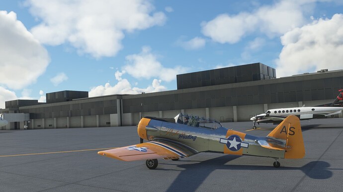 Microsoft Flight Simulator Screenshot 2021.12.13 - 01.06.33.11