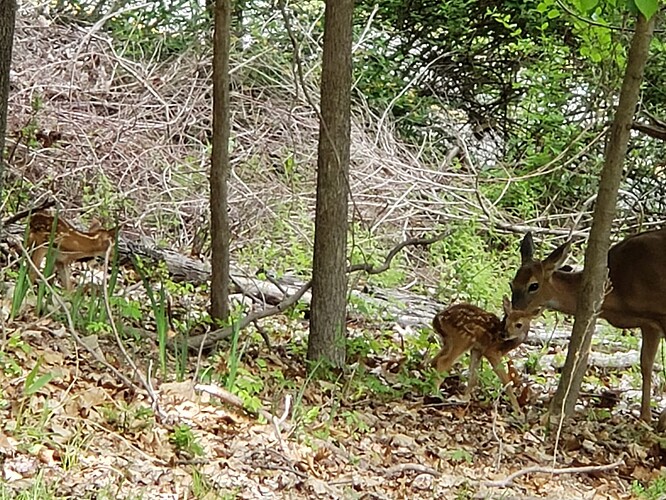 345652287_252370417373152_4973000620761077644_n