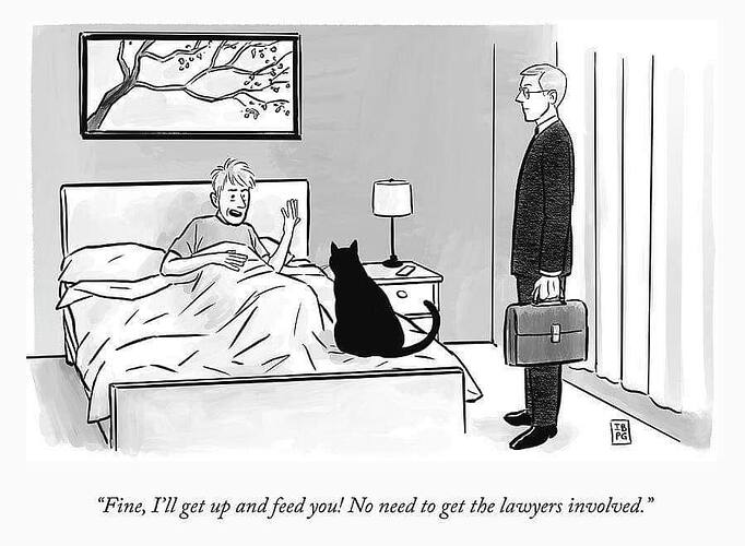 371822077_716069147225074_7123917597076831905_n