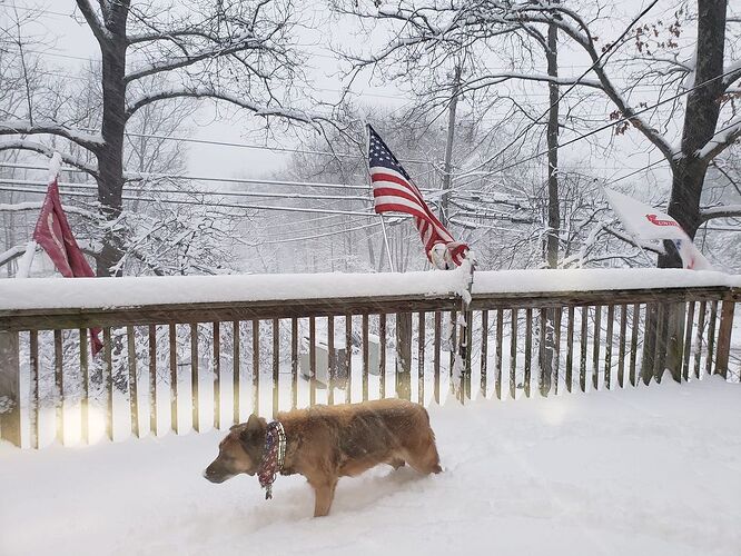 427968030_7501759933169034_3996224555664306894_n