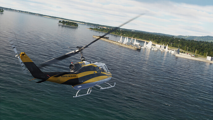 Digital Combat Simulator  Black Shark Screenshot 2021.07.11 - 18.01.24.86