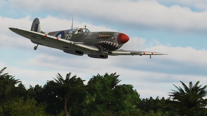 Digital Combat Simulator  Black Shark Screenshot 2021.07.31 - 23.53.17.96