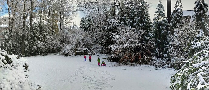 snow2017-PANO