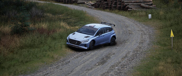 Assetto Corsa Rally Screenshot 2026.01.29 - 20.07.09.52