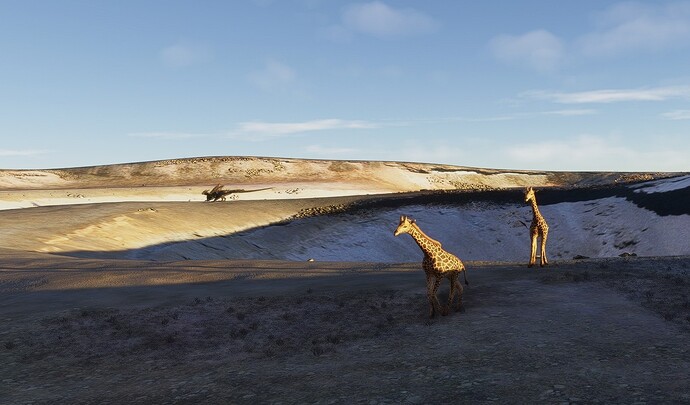 FS2020_20251121_94832_L