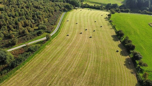 dji_fly_20230906_170202_147_1694016133615_photo_optimized