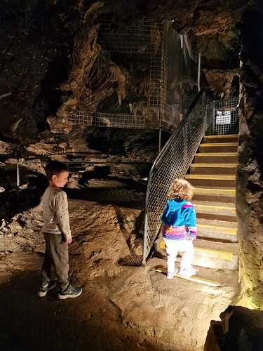 IMG-20220828-WA0015