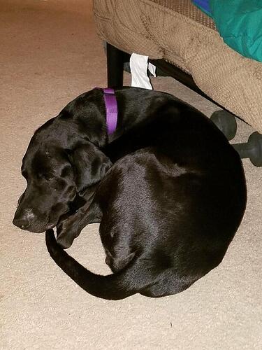 received_1844546998888805