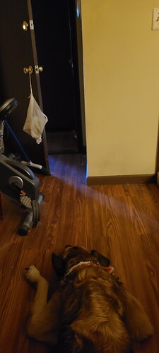 20231016_084223