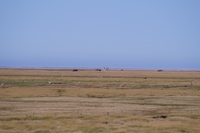 DSC09562