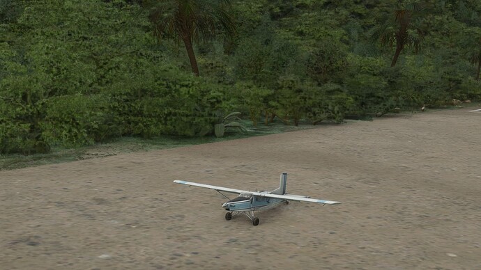 Microsoft Flight Simulator Screenshot 2021.11.08 - 21.24.19.55