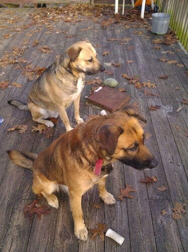 293456449_5567668756578171_8104738467163354655_n