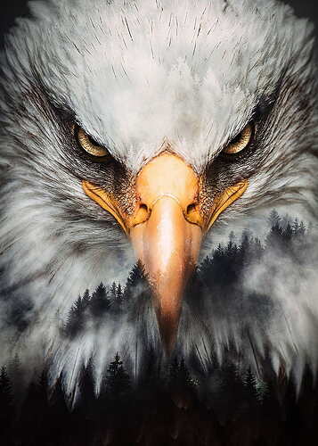 AngryEagle